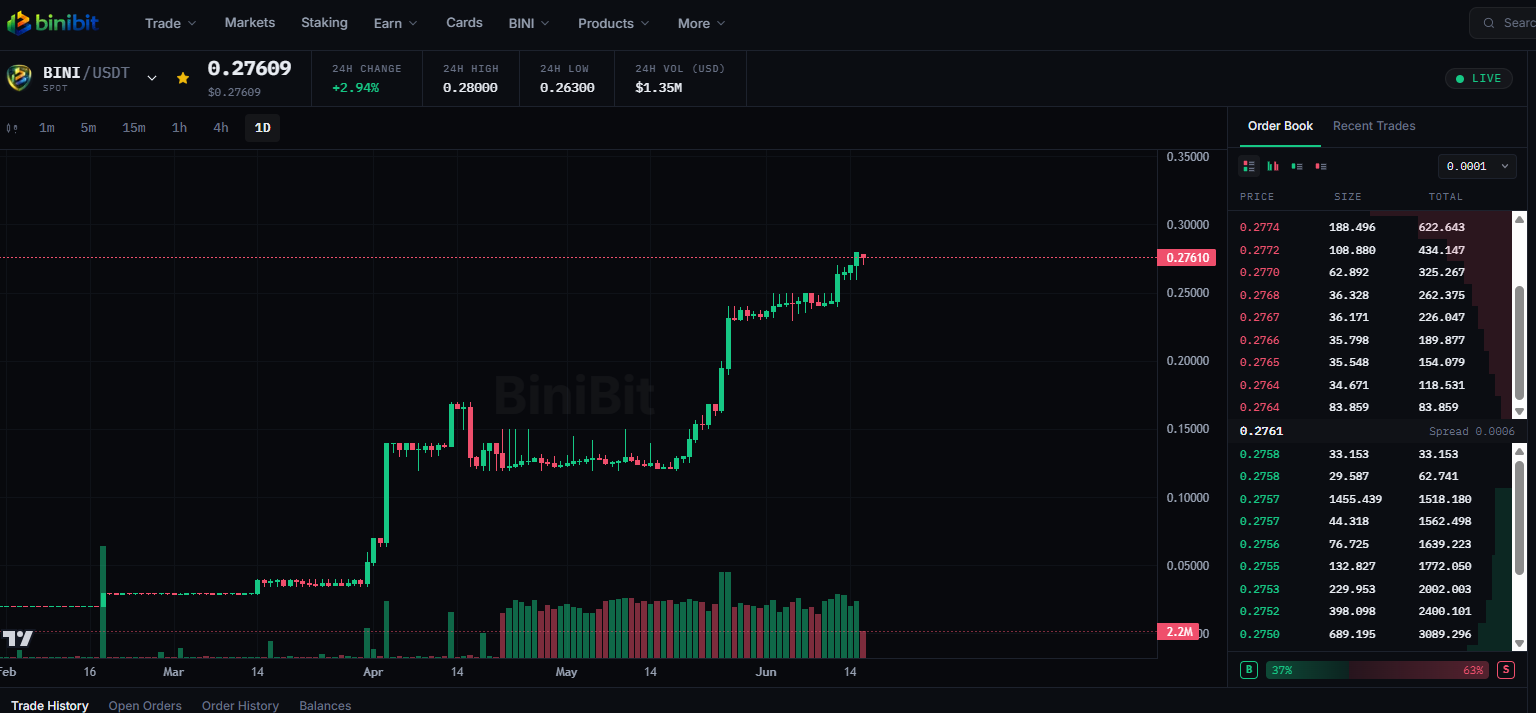 Торговый терминал BiniBit: пара BINI/USDT, график и стакан